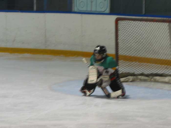 Mitchel in net